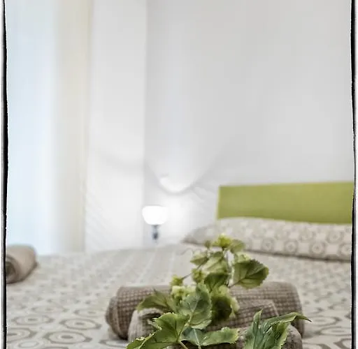 科索迪亚兹住宿加早餐旅馆